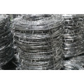 Galvanized Barbed wire 2.0mm / barbed wire fence